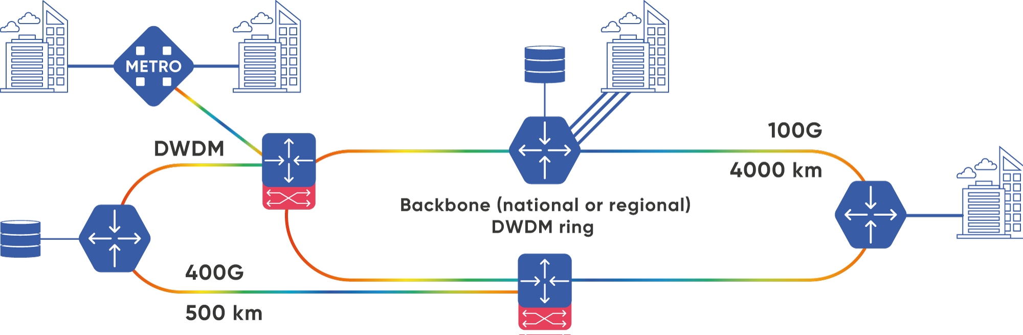Backbone DWDM Networks